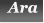 Ara Ara