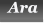 Ara Ara
